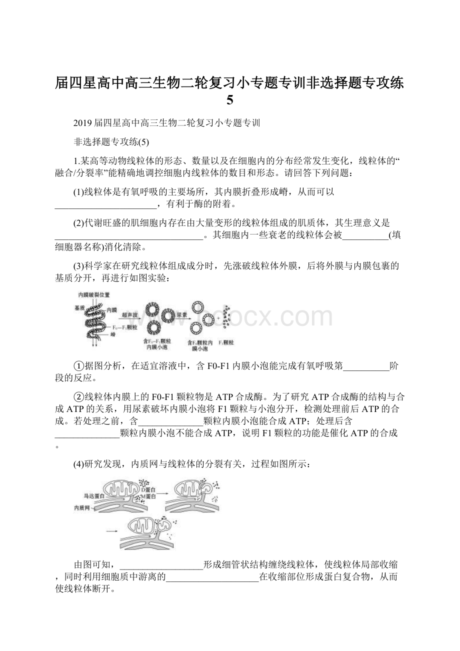 届四星高中高三生物二轮复习小专题专训非选择题专攻练5Word格式文档下载.docx