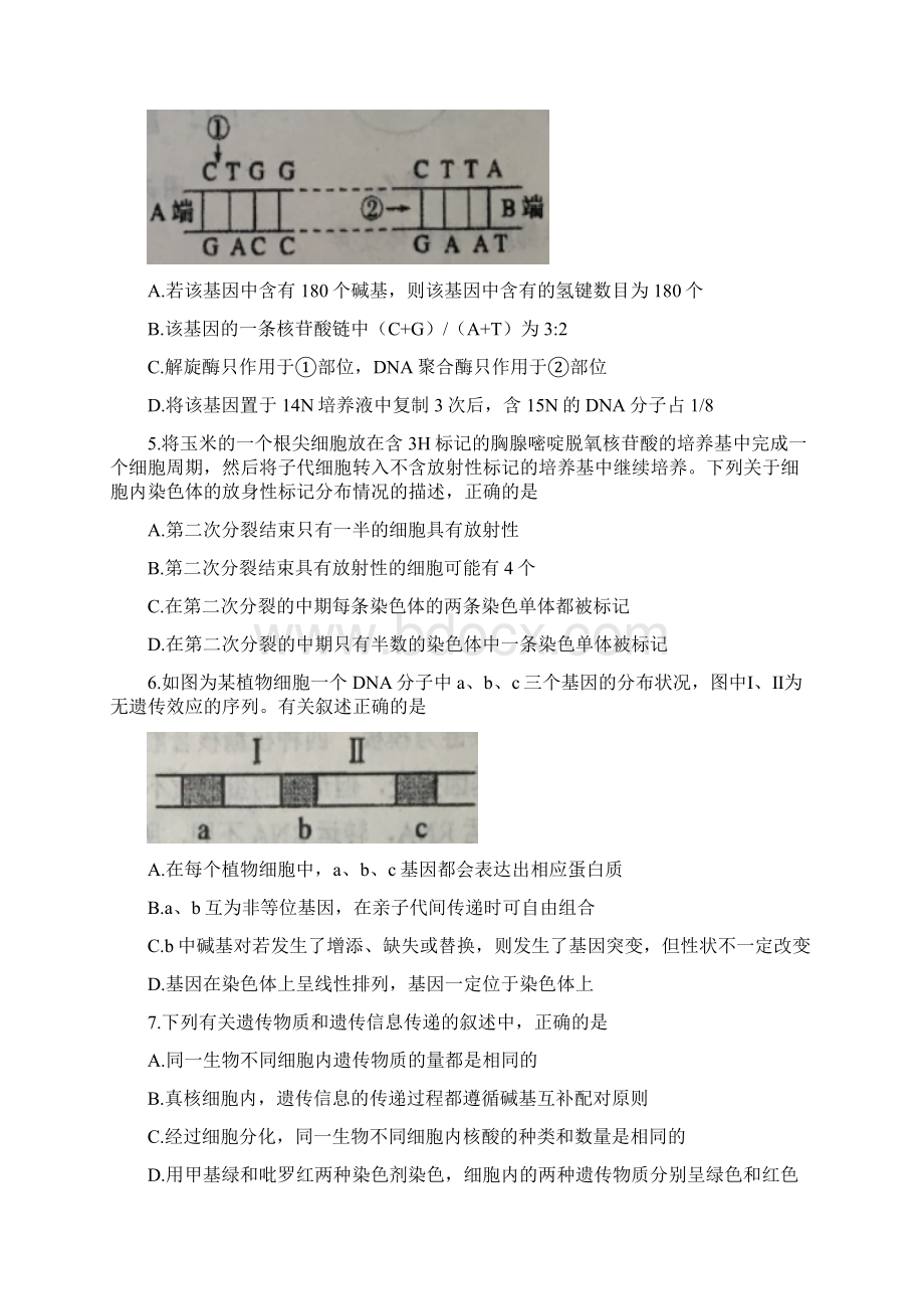 学年安徽省六安市第一中学高二上学期第二次阶段性考试生物试题.docx_第2页