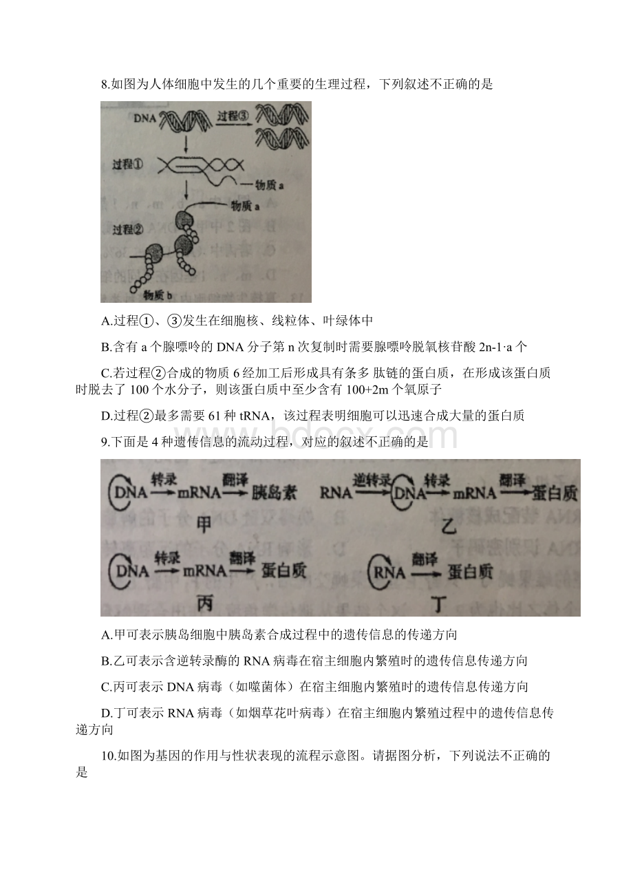 学年安徽省六安市第一中学高二上学期第二次阶段性考试生物试题.docx_第3页