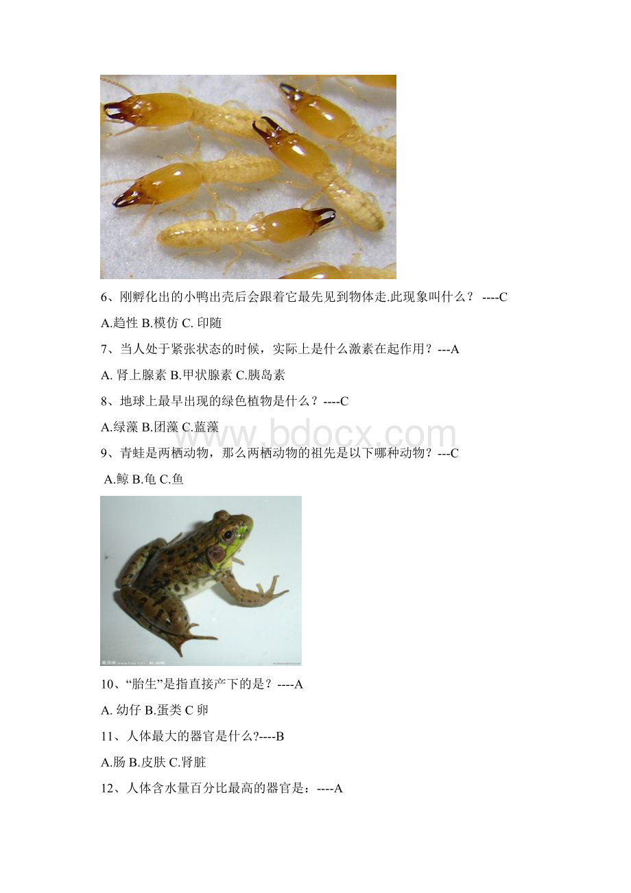 趣味生物知识竞赛题讲课教案Word文档格式.docx_第2页