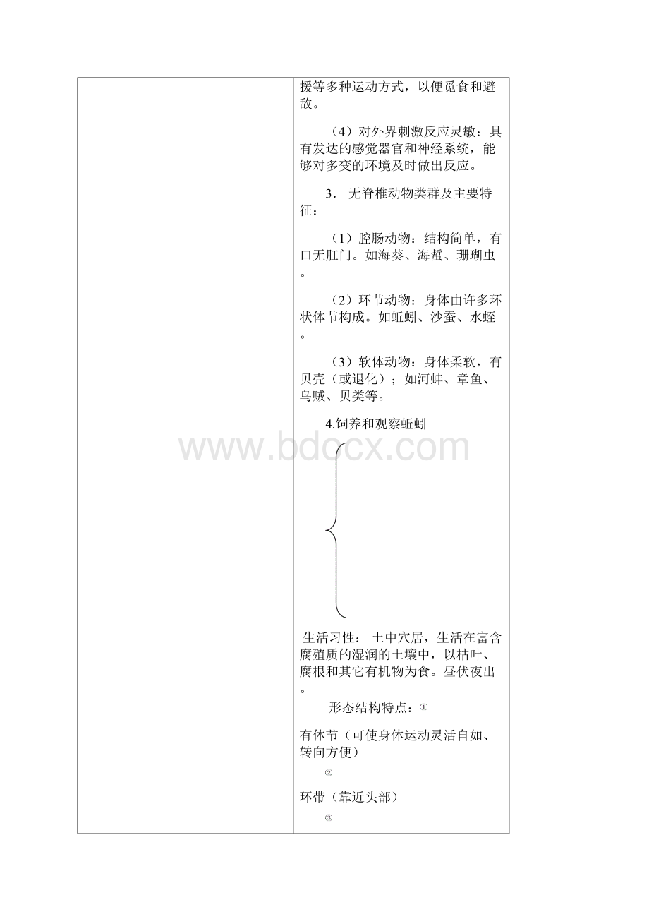 人教版八年级上册生物复习资料文档格式.docx_第2页