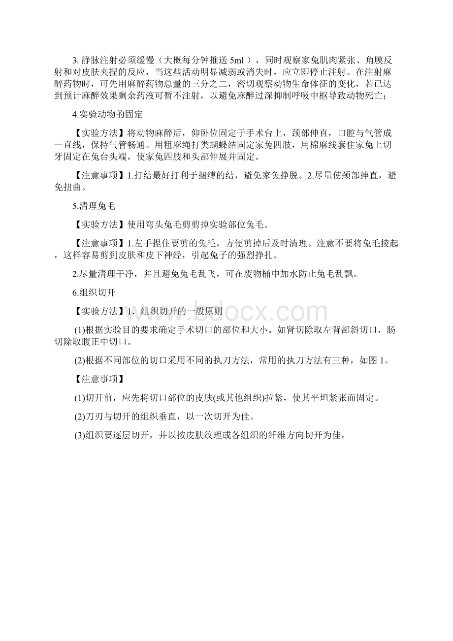 家兔基础实验操作及注意事项总结Word文档格式.docx_第2页