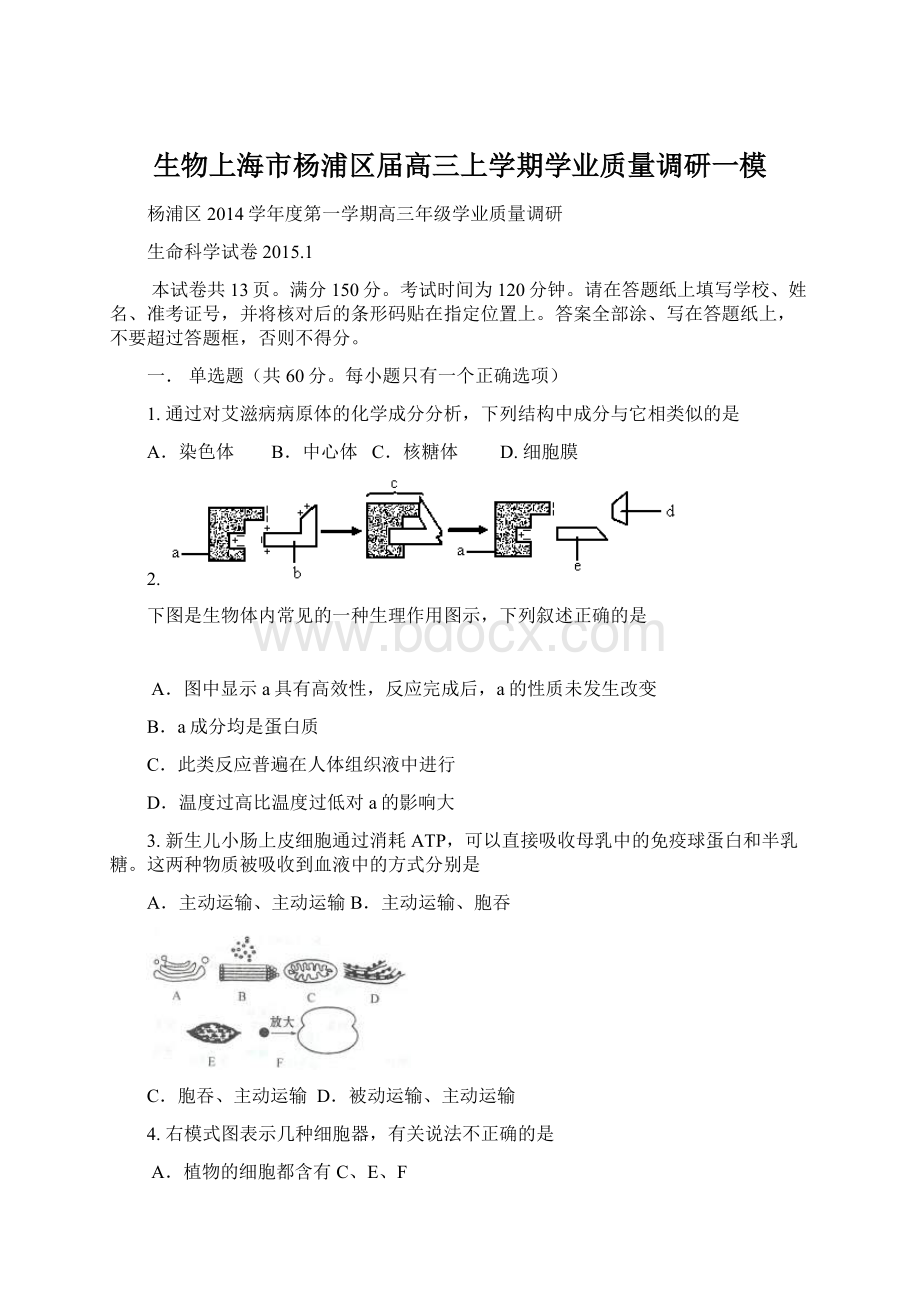 生物上海市杨浦区届高三上学期学业质量调研一模.docx