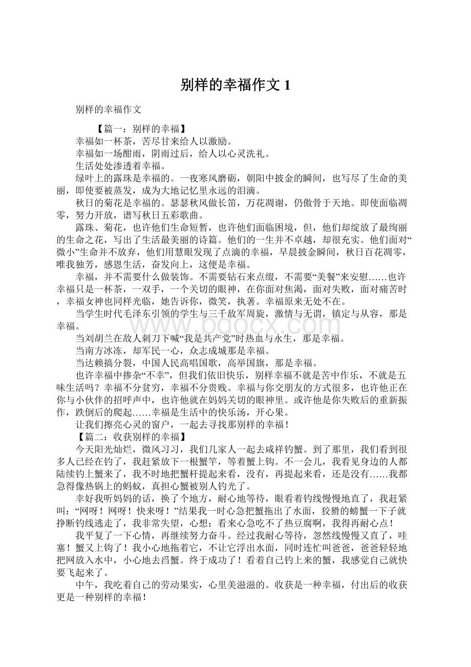 别样的幸福作文1Word下载.docx