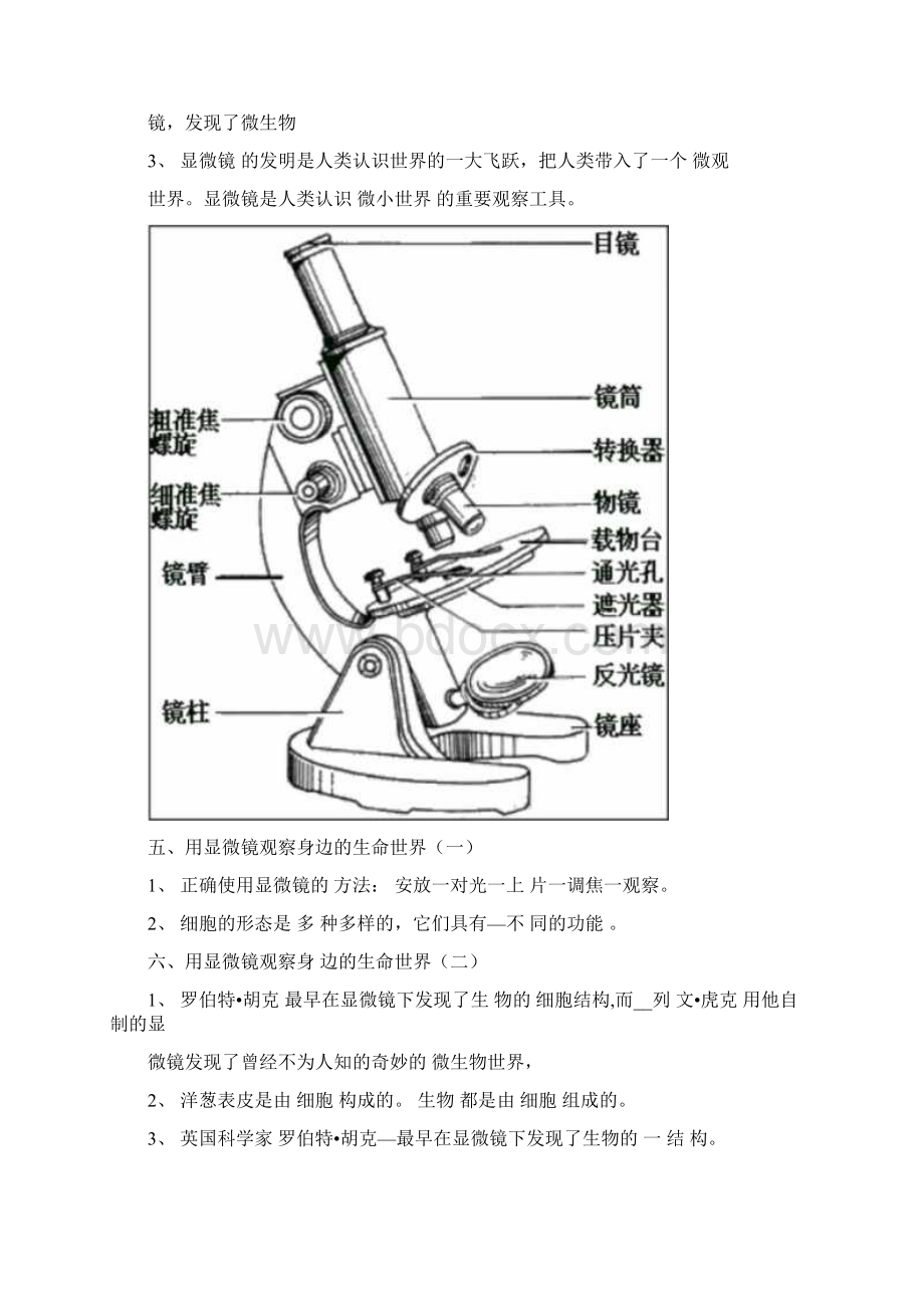 教科版六年级下册科学复习资料汇总.docx_第2页