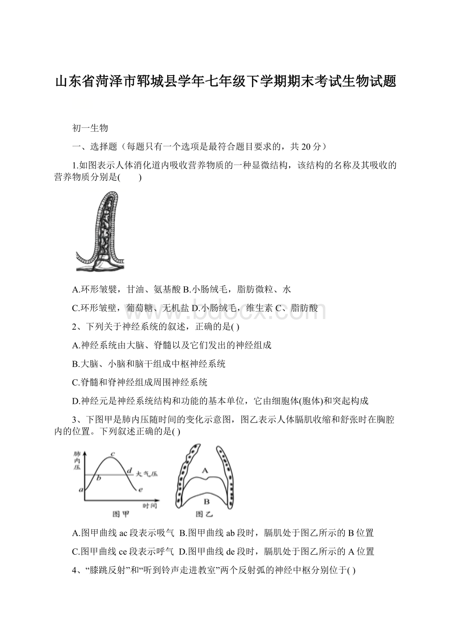 山东省菏泽市郓城县学年七年级下学期期末考试生物试题Word下载.docx_第1页