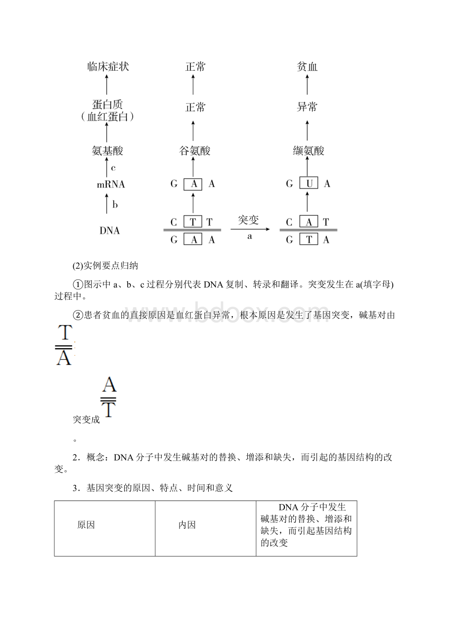 人教版届生物一轮教案第21讲基因突变和基因重组高考生物考点要点分类汇编.docx_第2页