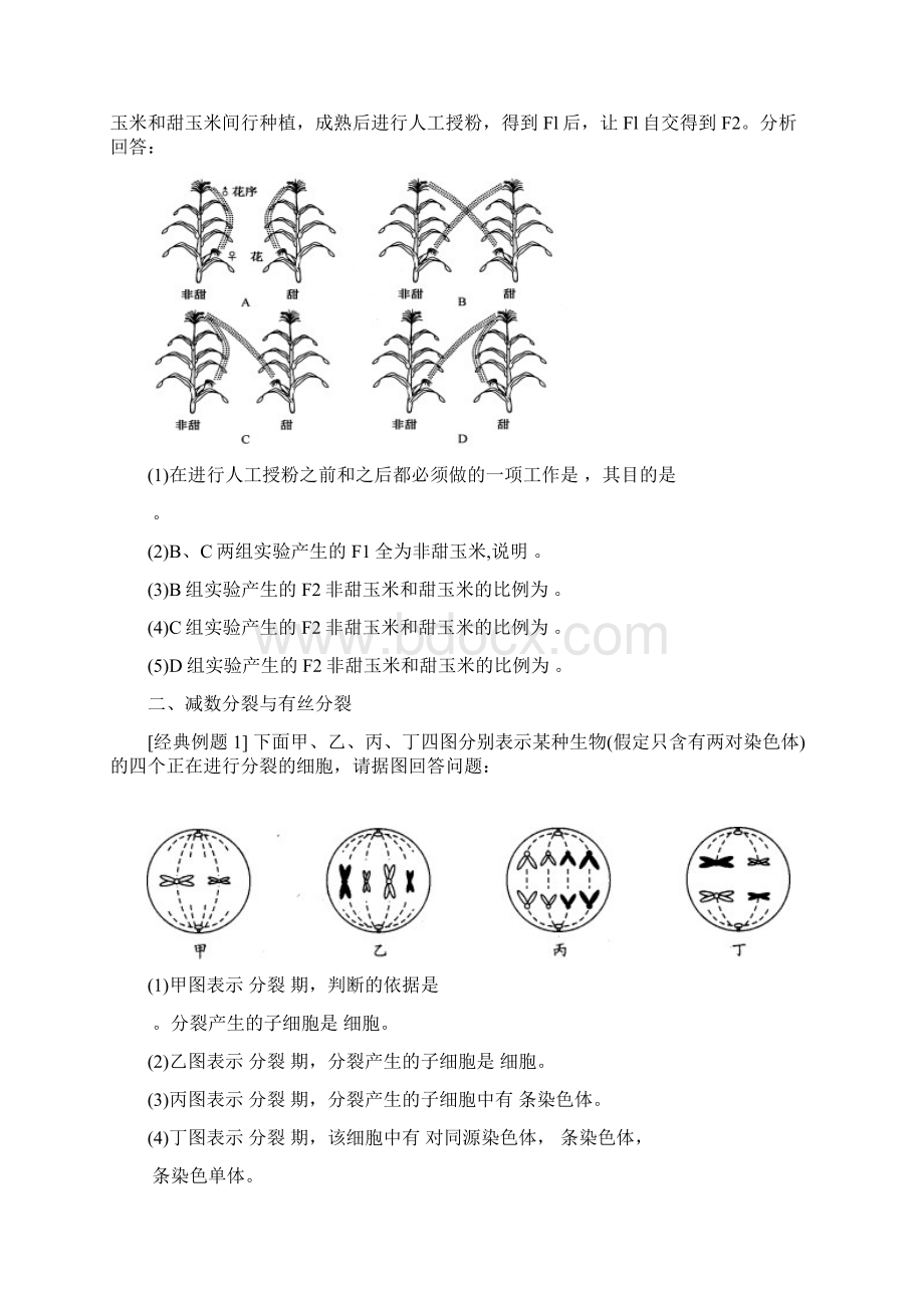 《遗传与进化》配套试题讲解篇.docx_第3页