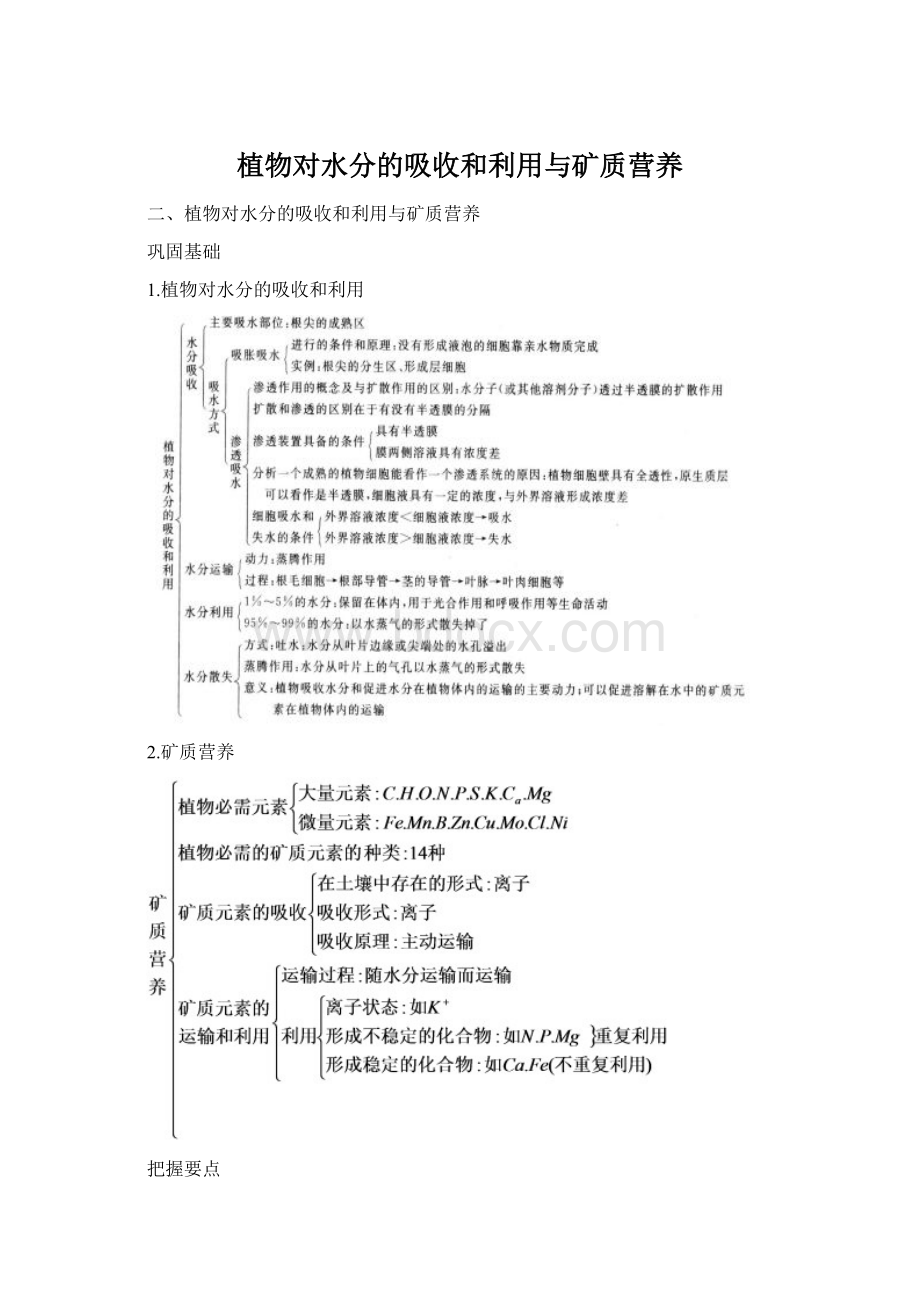 植物对水分的吸收和利用与矿质营养.docx_第1页