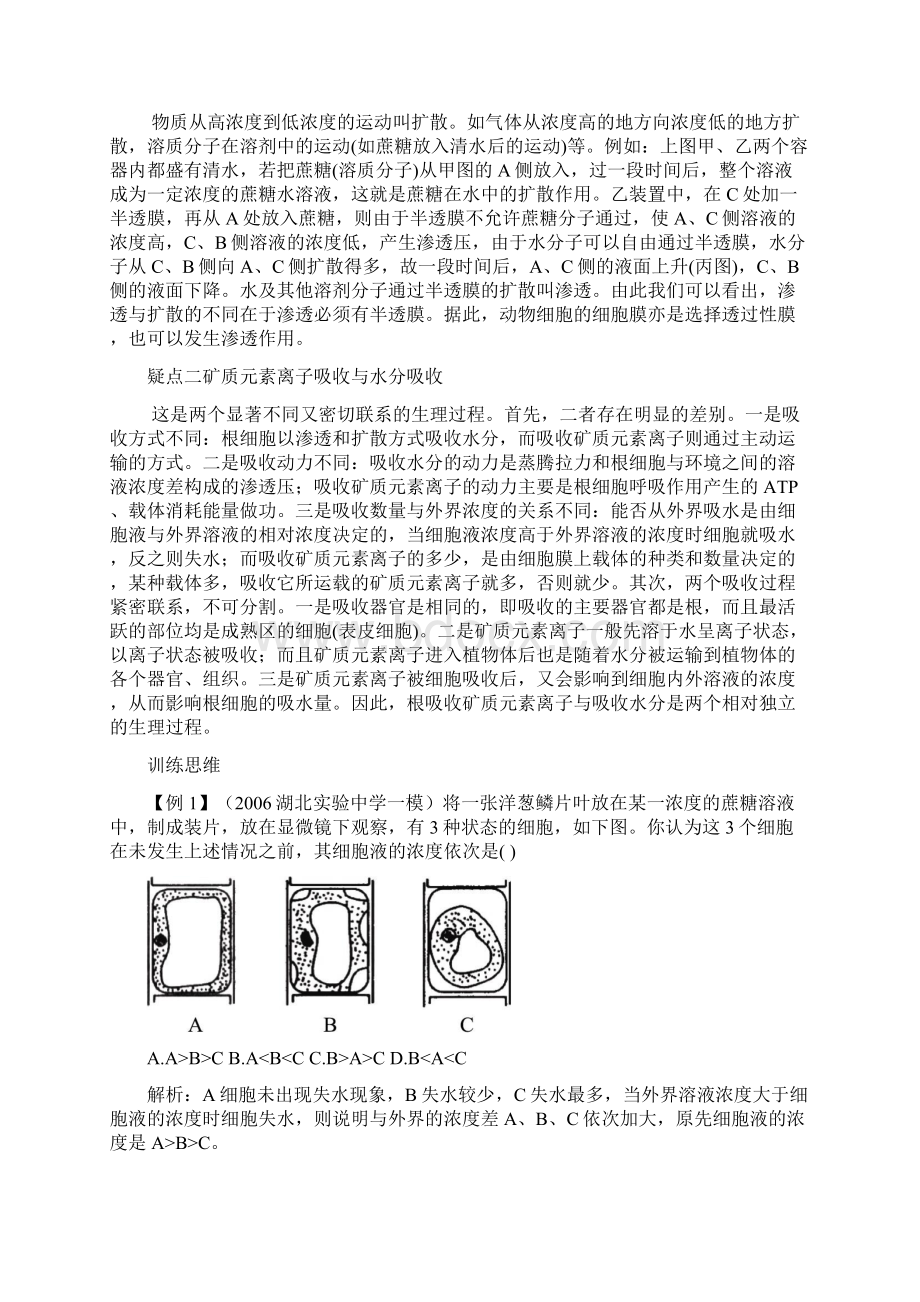 植物对水分的吸收和利用与矿质营养.docx_第3页