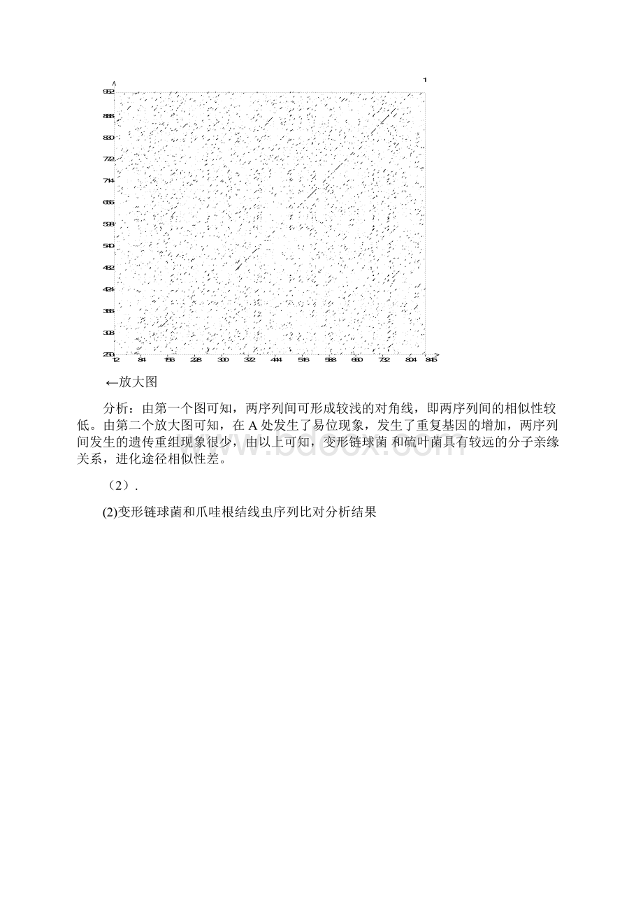 16sRNA序列分析的应用Word文件下载.docx_第3页