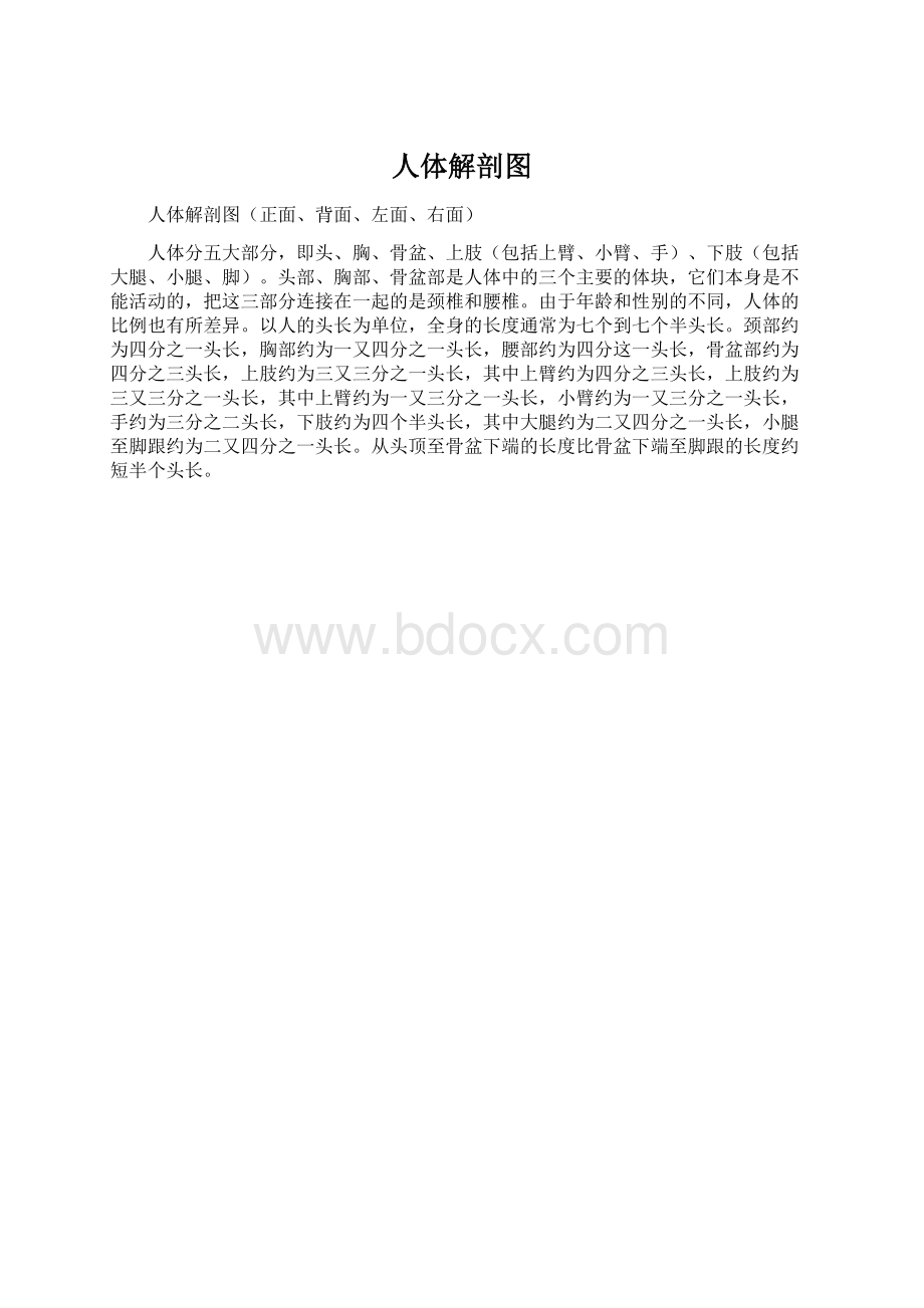 人体解剖图.docx_第1页