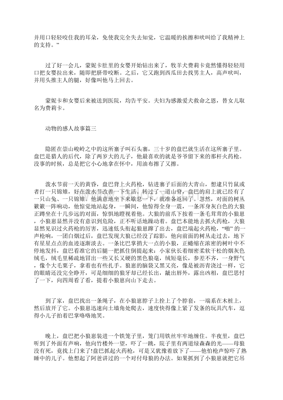 动物的感人故事感人的故事看完都哭了.docx_第3页