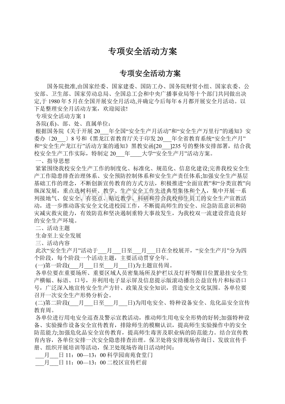 专项安全活动方案Word格式.docx