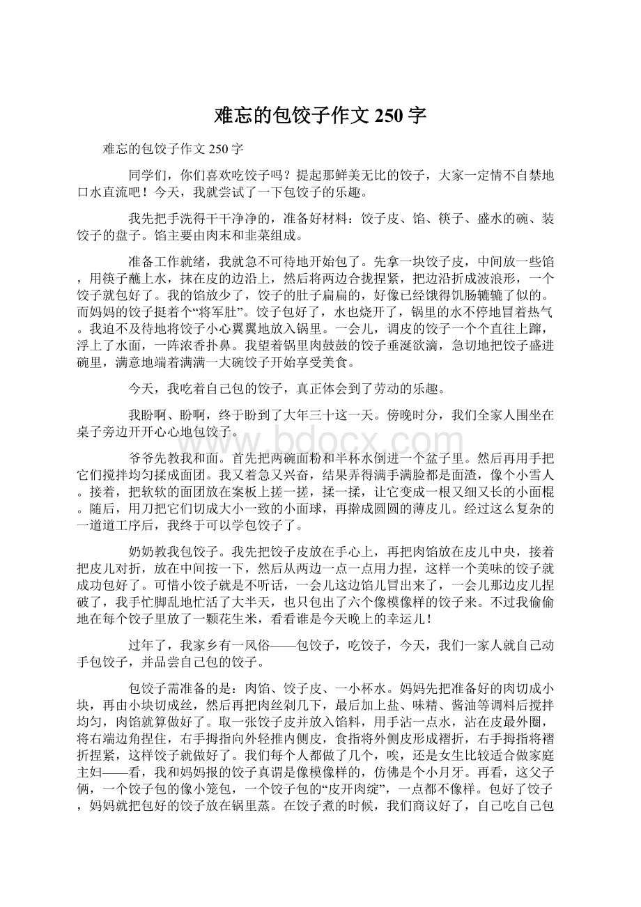 难忘的包饺子作文250字.docx