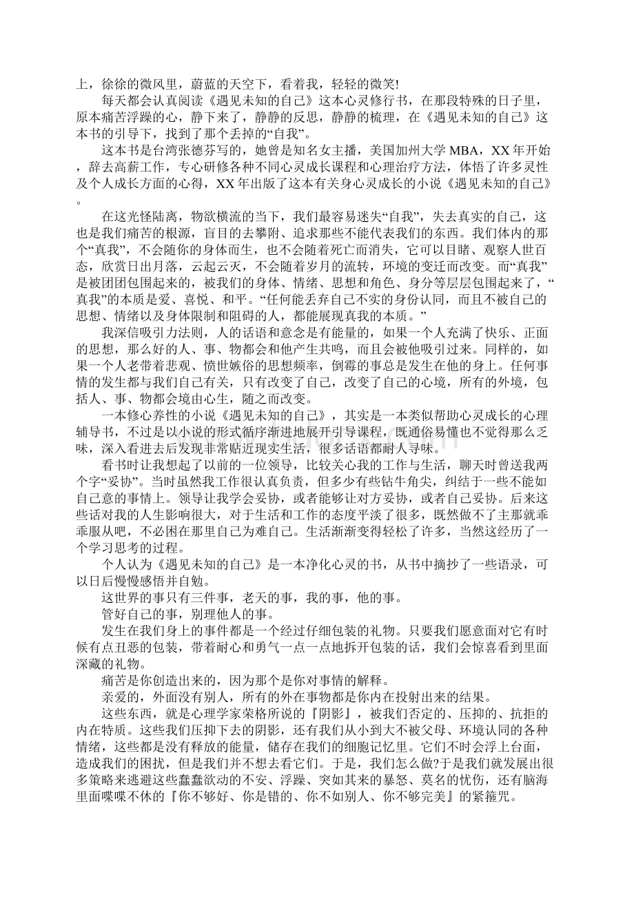 遇见未知的自己读后感文档格式.docx_第2页