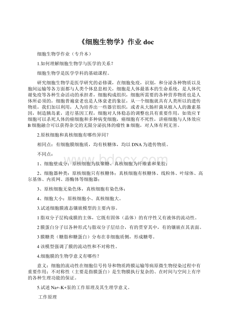 《细胞生物学》作业docWord下载.docx