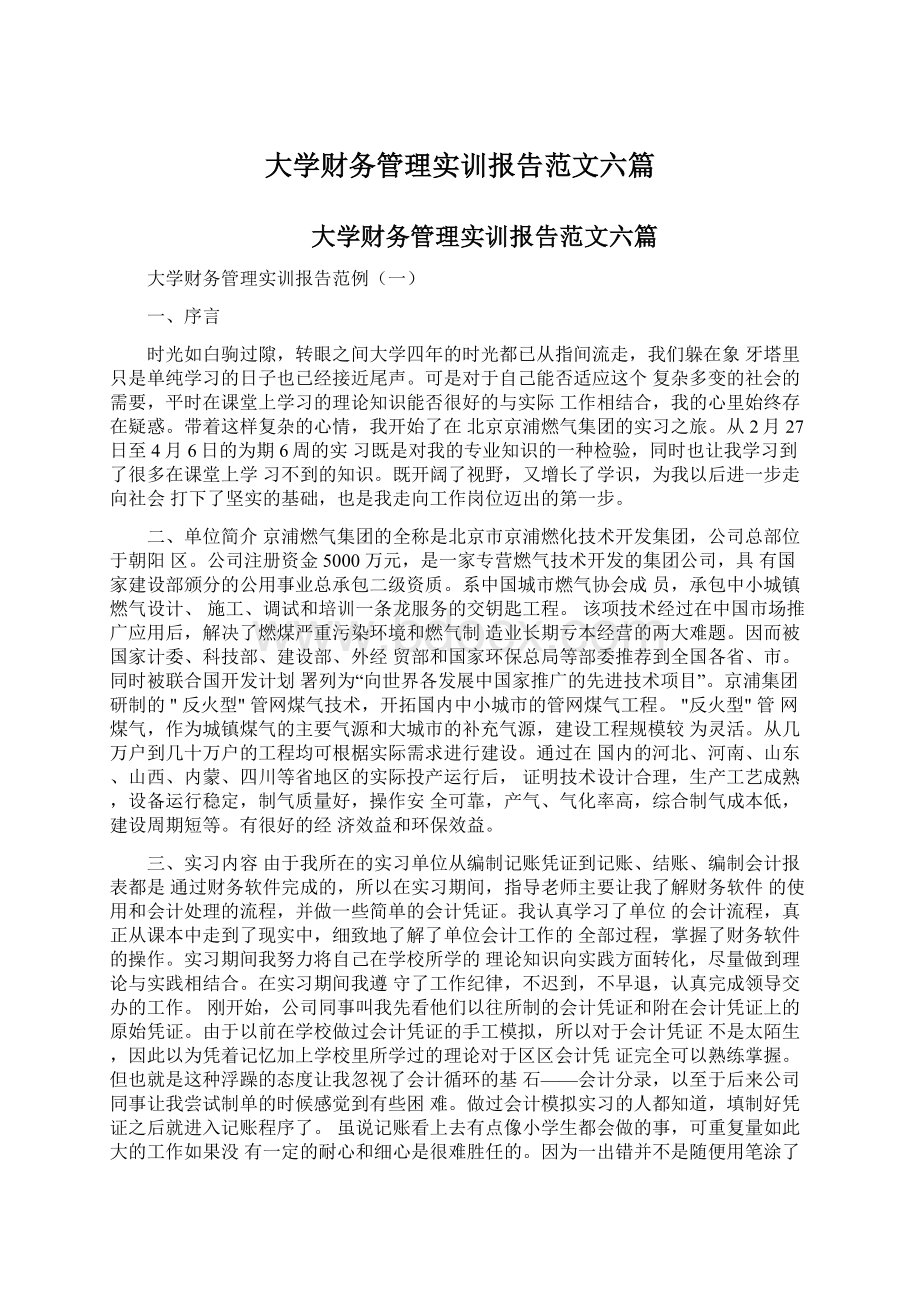 大学财务管理实训报告范文六篇.docx