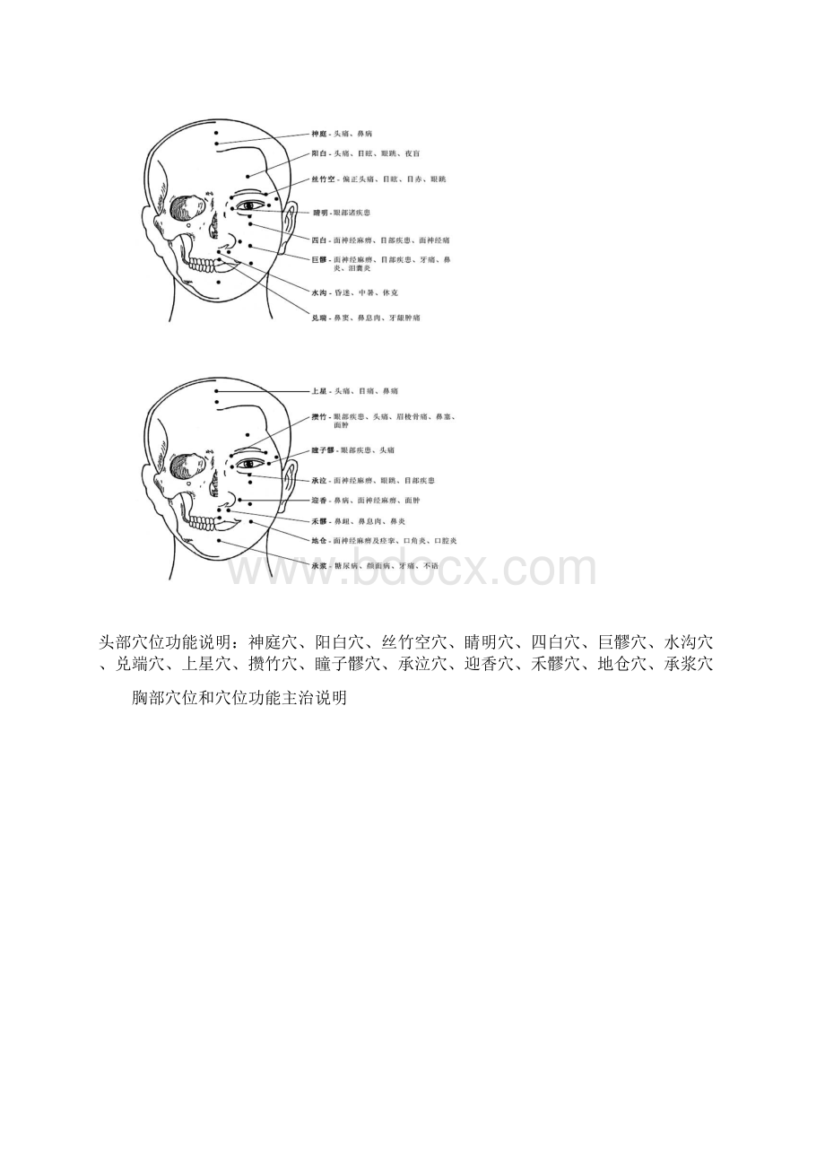 头部穴位和穴位功能主治说明Word文件下载.docx_第2页