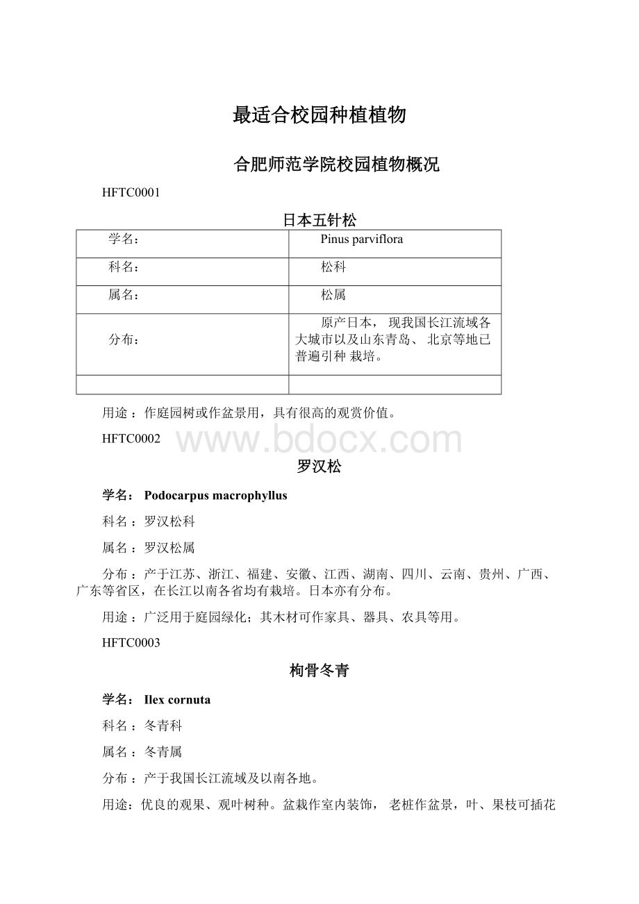 最适合校园种植植物Word文件下载.docx_第1页