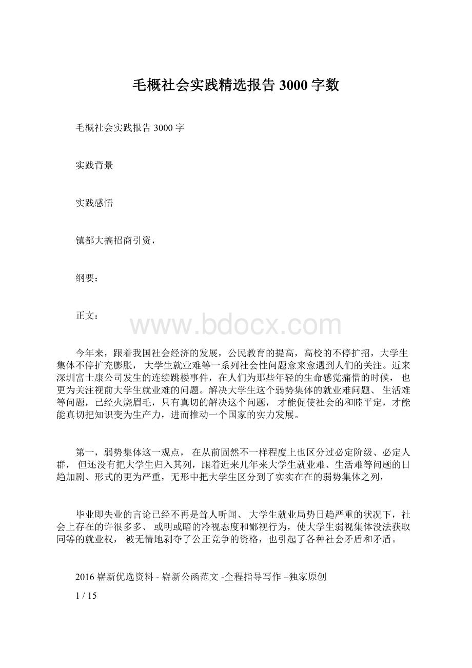 毛概社会实践精选报告3000字数.docx