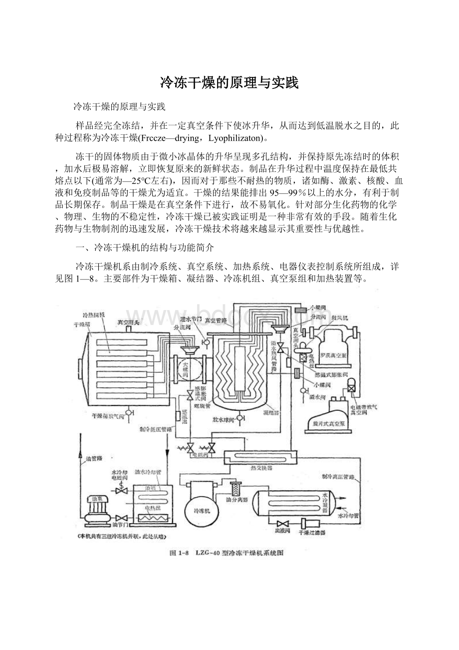 冷冻干燥的原理与实践.docx