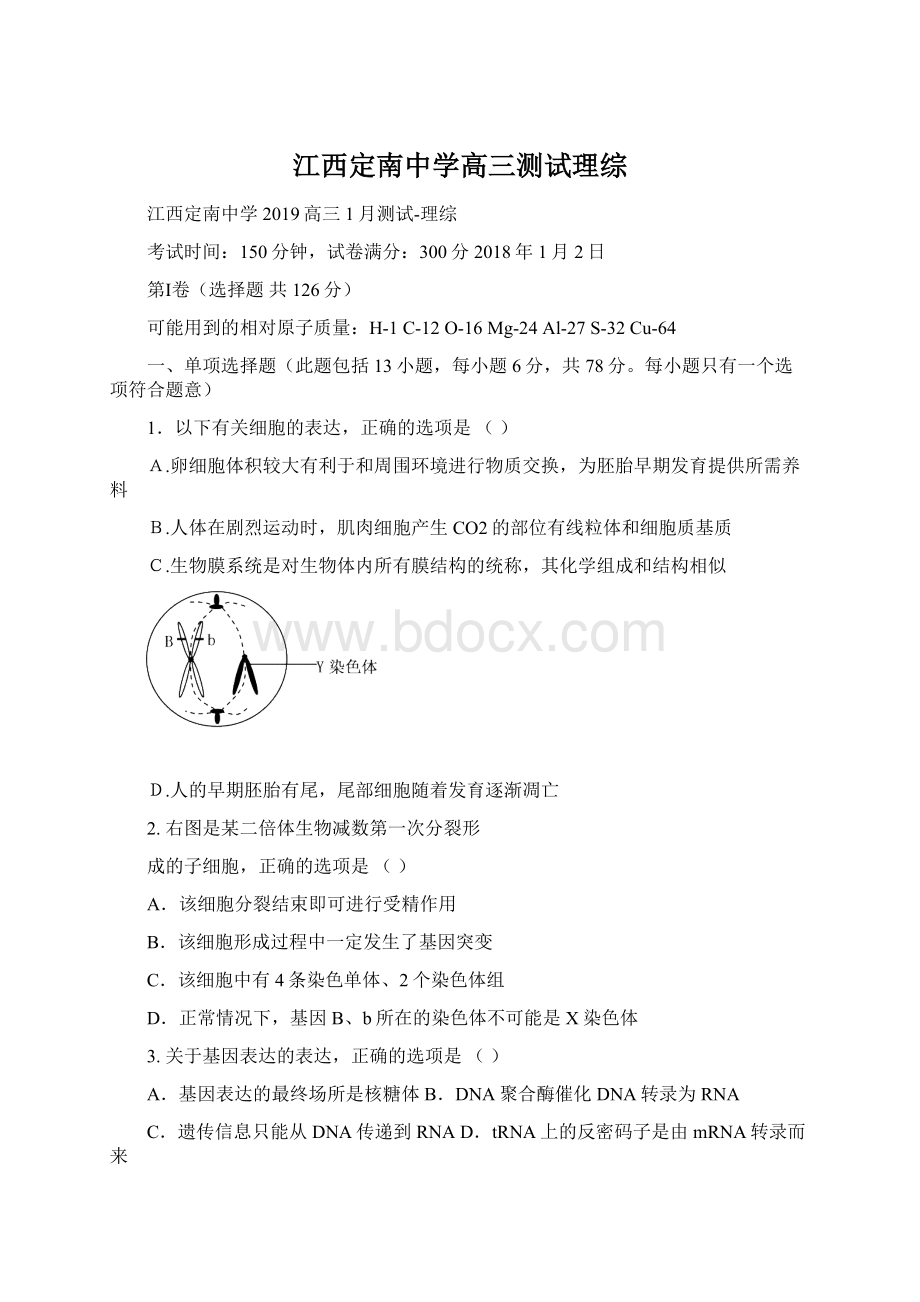 江西定南中学高三测试理综文档格式.docx