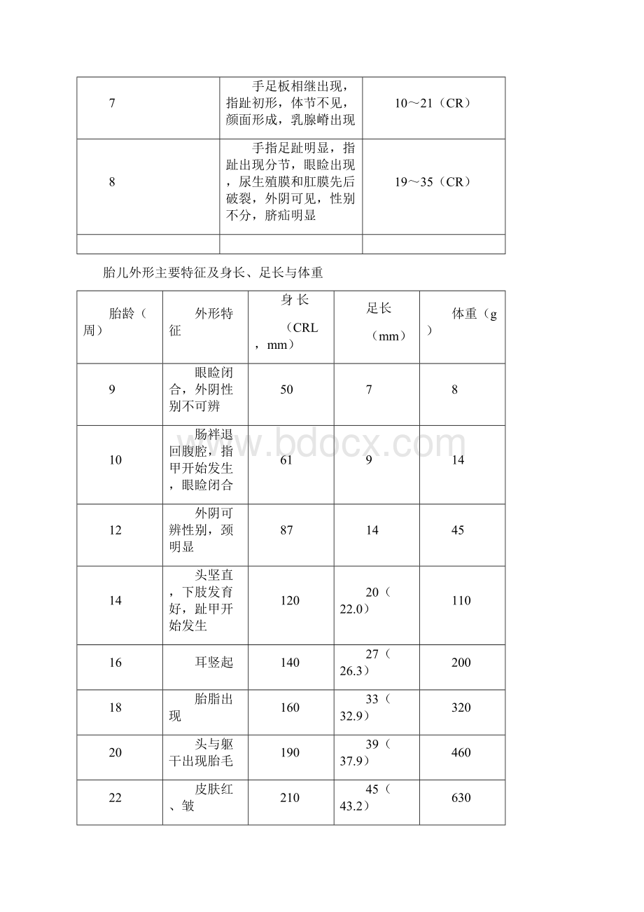 人胚胎外形畸形实物标本BWord文件下载.docx_第2页