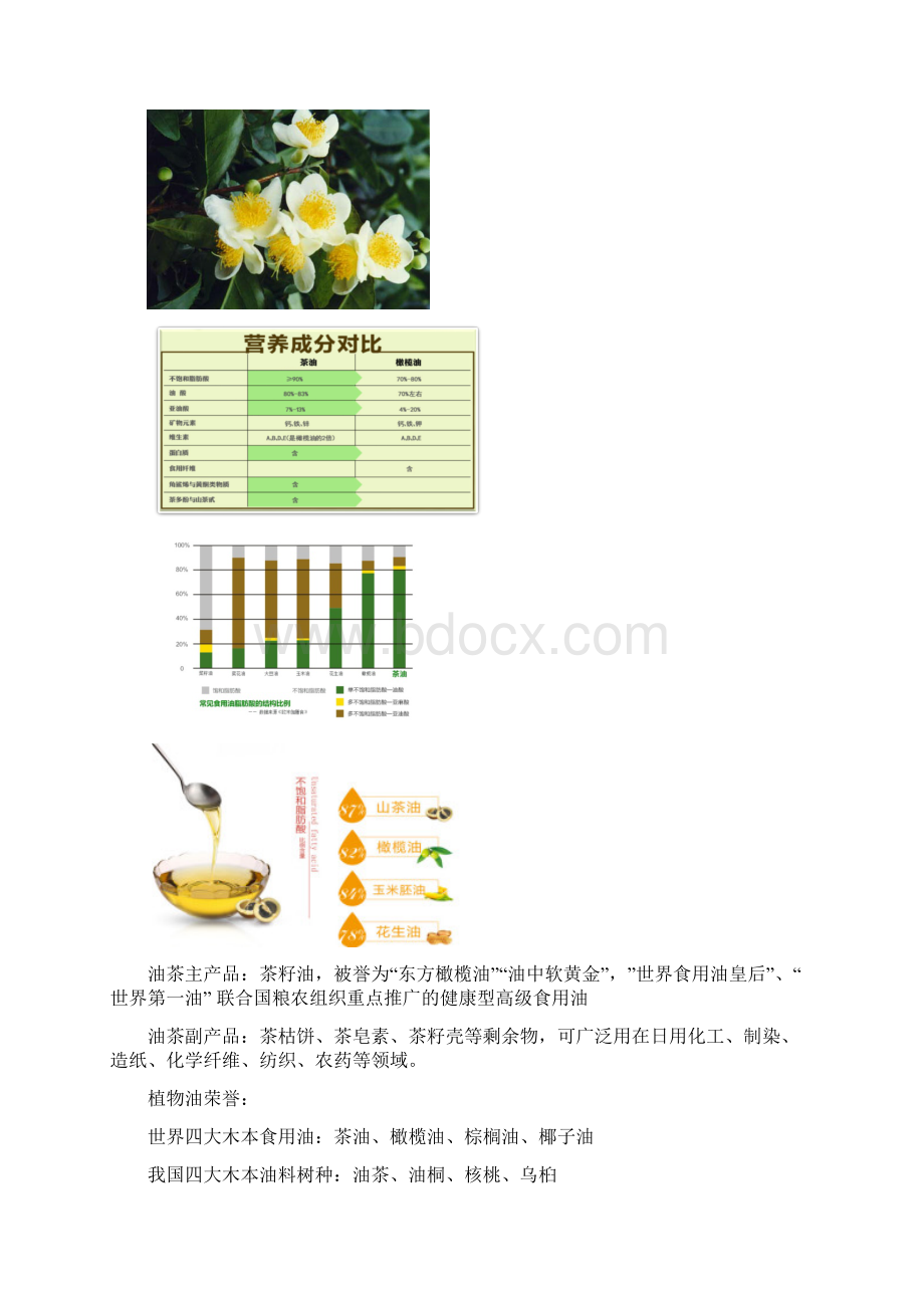 我国油茶籽油产业发展现状必要性以及存在的主要问题.docx_第2页