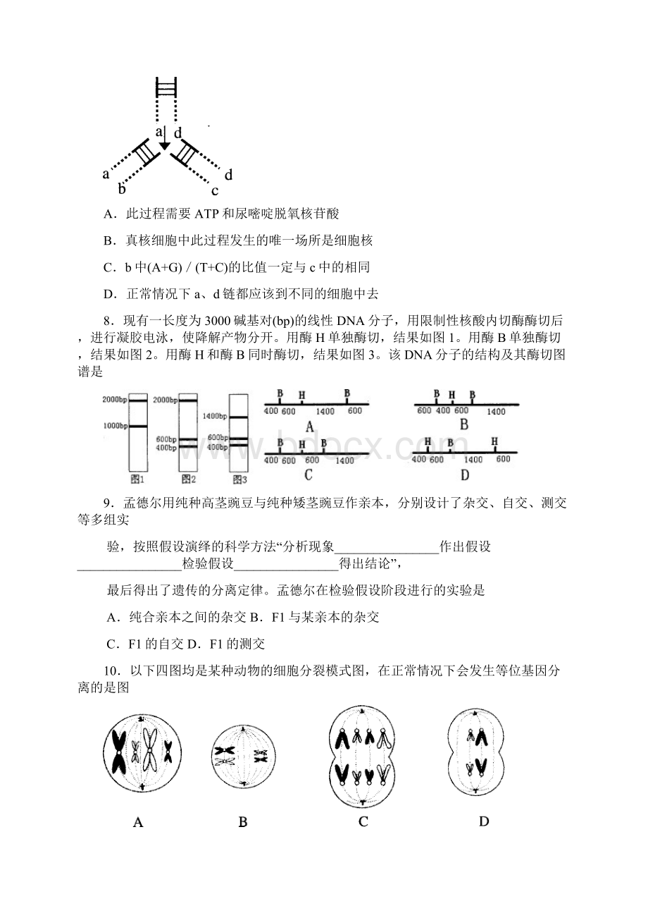 2OO8届佛山市普通高中高三教学质量检测一生物试题人教版Word下载.docx_第3页