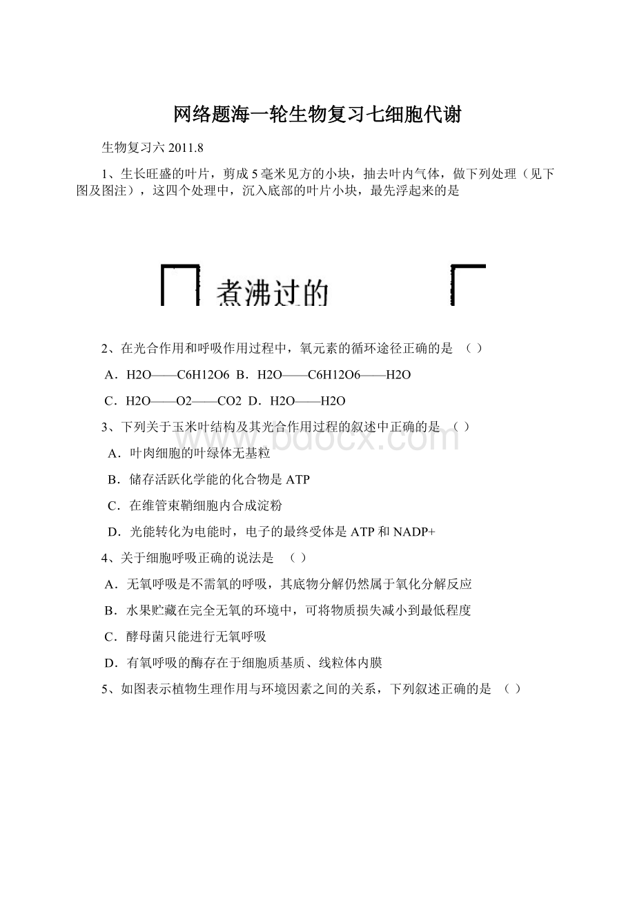 网络题海一轮生物复习七细胞代谢Word格式文档下载.docx_第1页