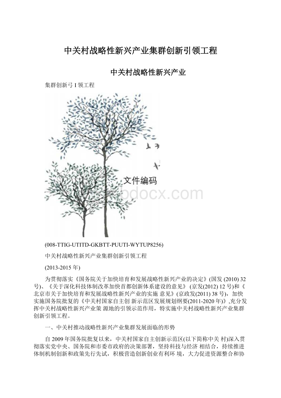 中关村战略性新兴产业集群创新引领工程文档格式.docx