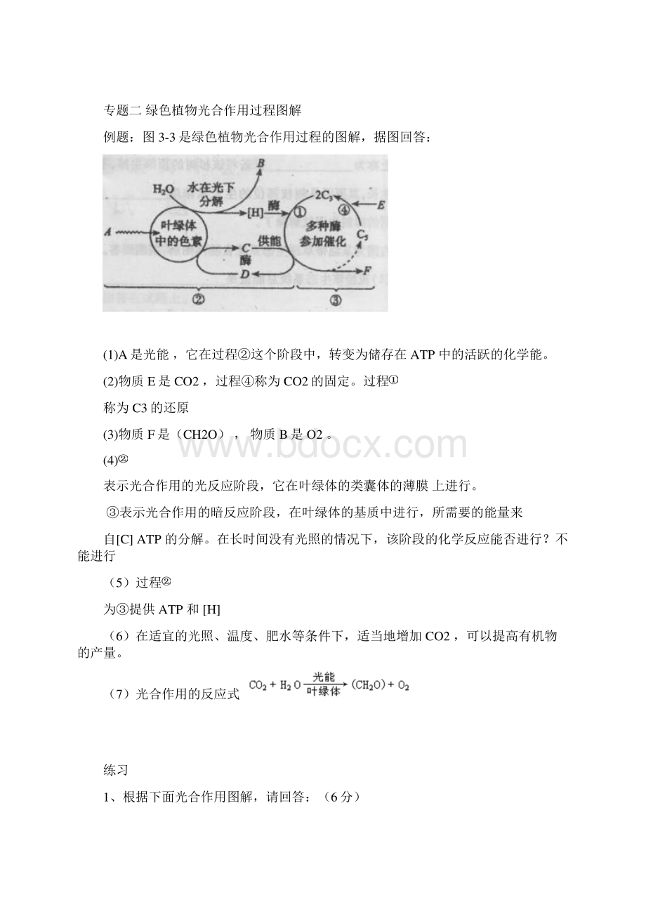 高中生物必考会考综合题答案总结.docx_第3页