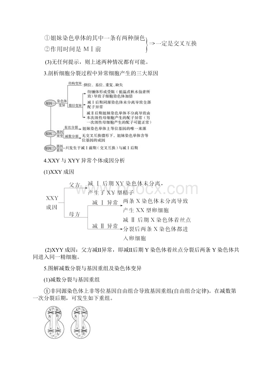 高中生物高届高考复习资料补上一课3.docx_第2页