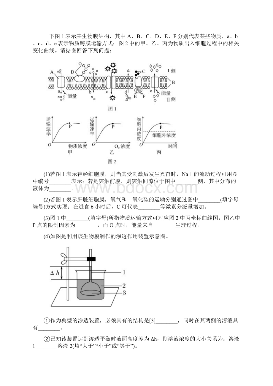 届高考生物二轮复习素材第四篇 熟记必修模块十大主干知识要点.docx_第3页