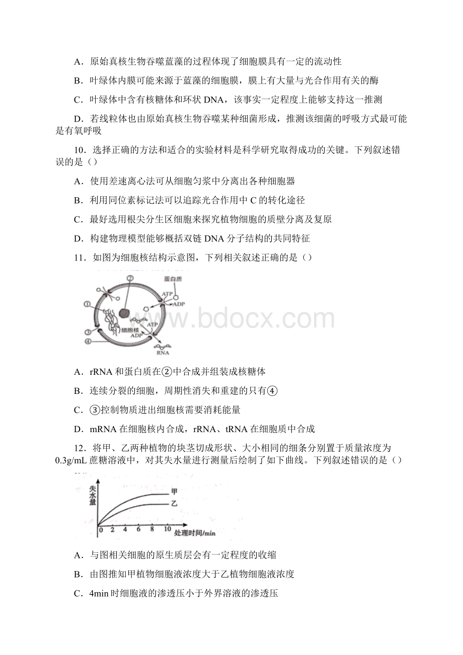 四川省成都市七中学年高三理科上学期入学考试生物试题.docx_第3页