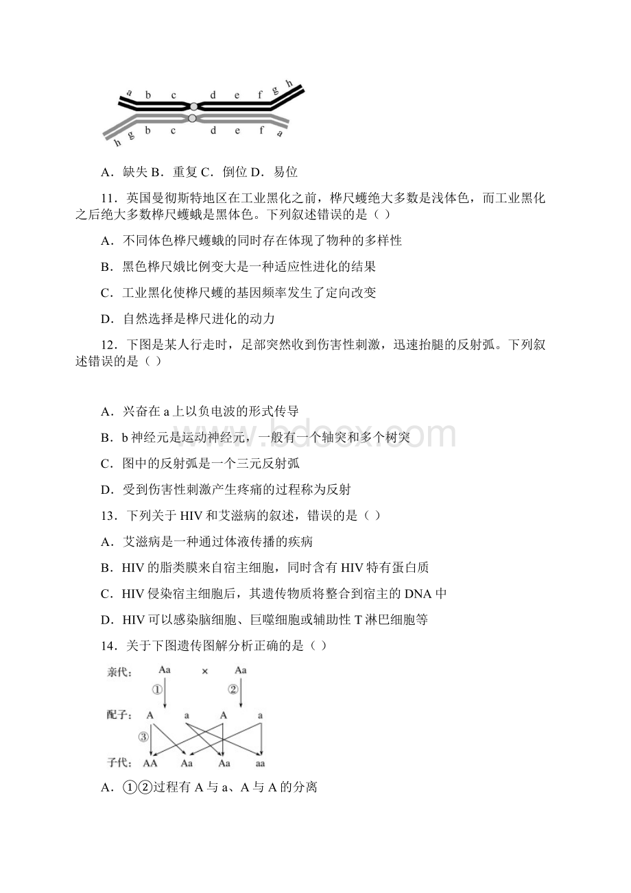 浙江省瑞安市上海新纪元高级中学学年高一下学期期末考试生物1试题Word文档下载推荐.docx_第3页