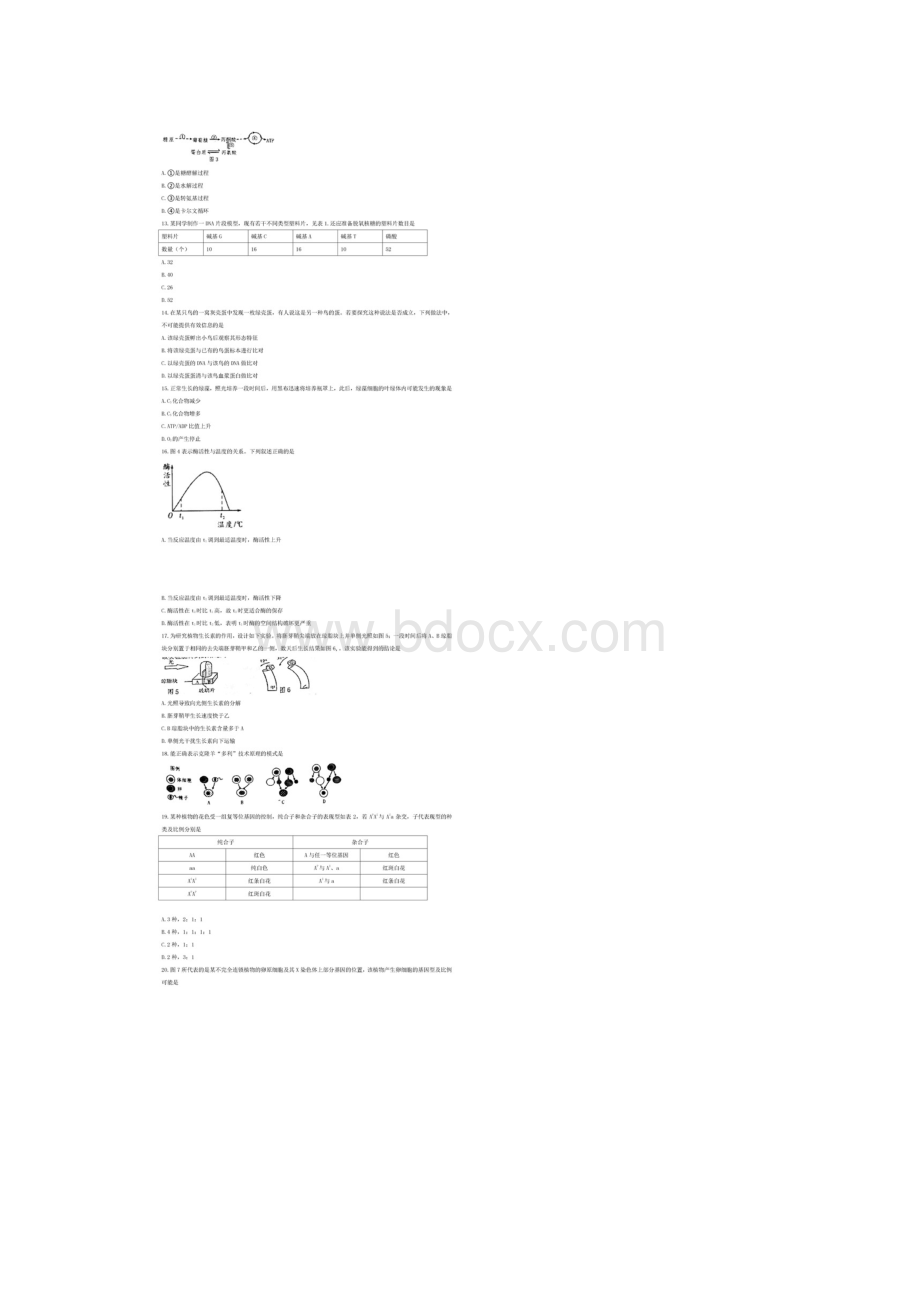 上海宝山区高三二模生物试题及答案Word下载.docx_第2页