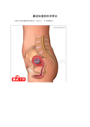 最该知道的怀孕常识Word下载.docx