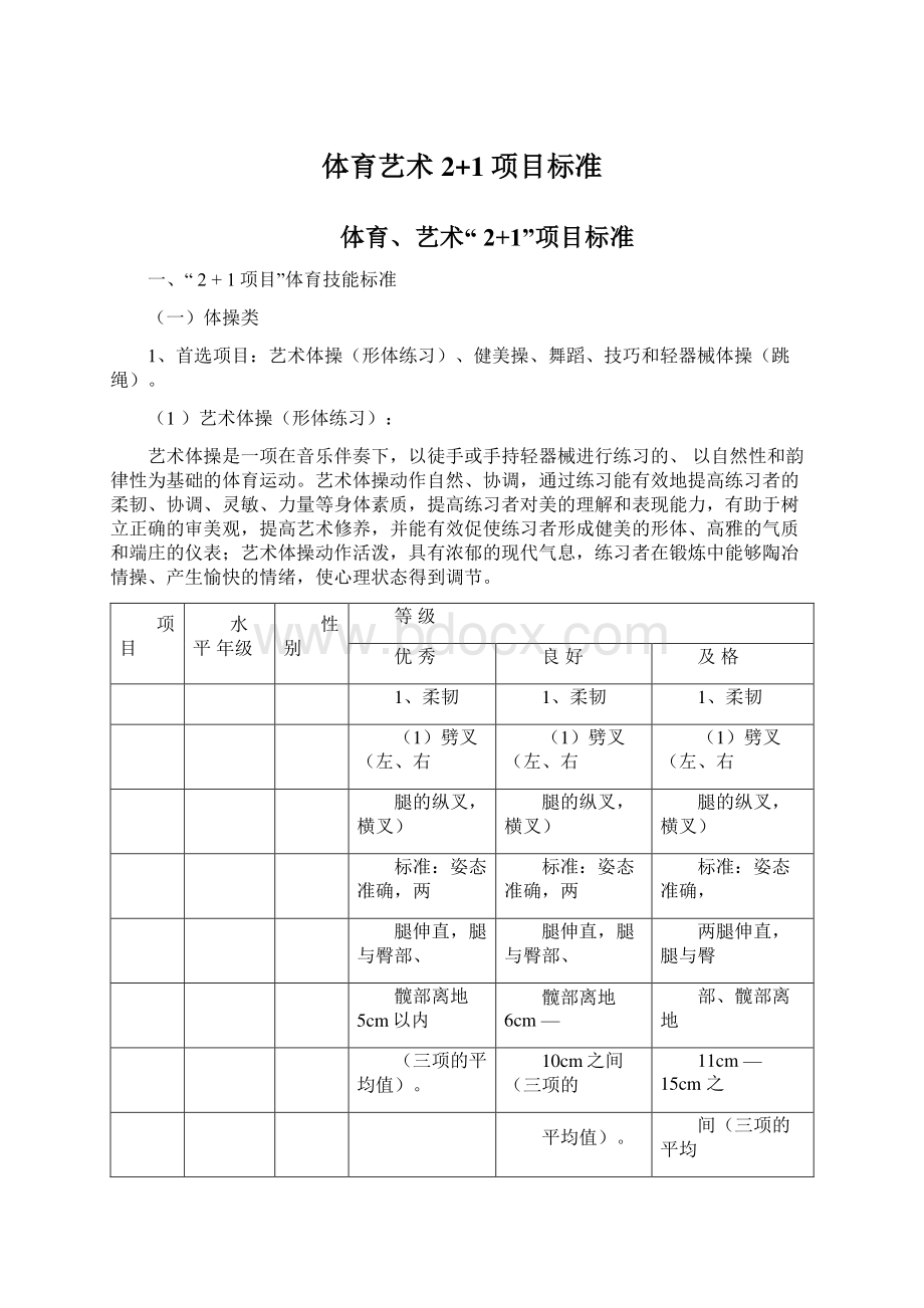 体育艺术2+1项目标准Word文件下载.docx_第1页