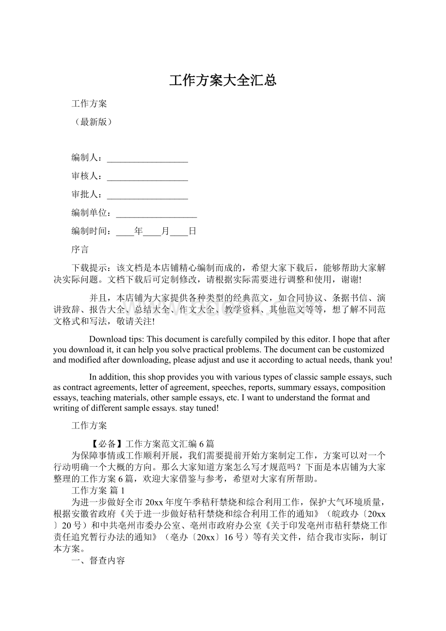 工作方案大全汇总.docx_第1页