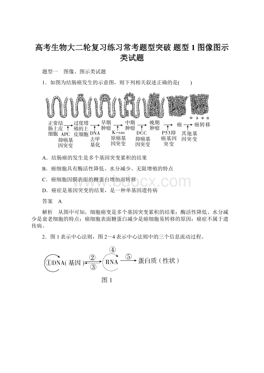 高考生物大二轮复习练习常考题型突破 题型1图像图示类试题.docx_第1页