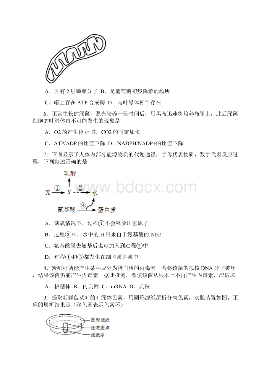 山东省枣庄市枣庄五中届高三上学期期末考试生物试题 Word版含答案.docx_第2页