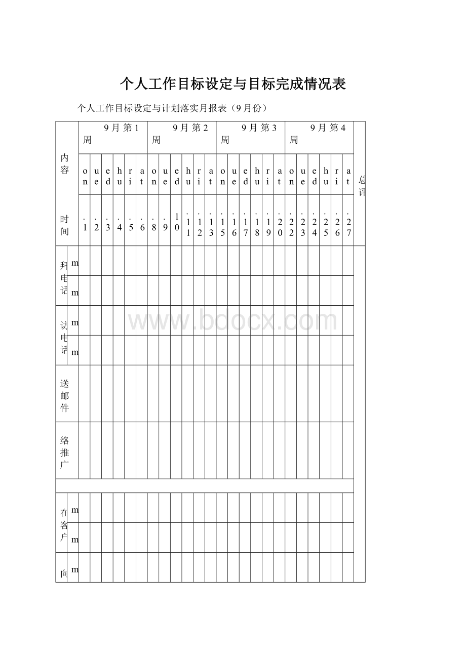 个人工作目标设定与目标完成情况表.docx_第1页