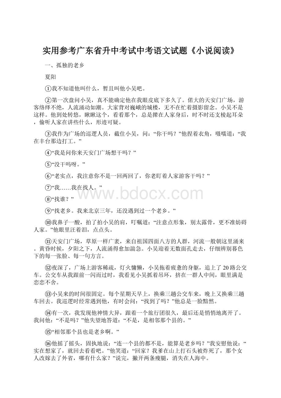 实用参考广东省升中考试中考语文试题《小说阅读》Word下载.docx_第1页