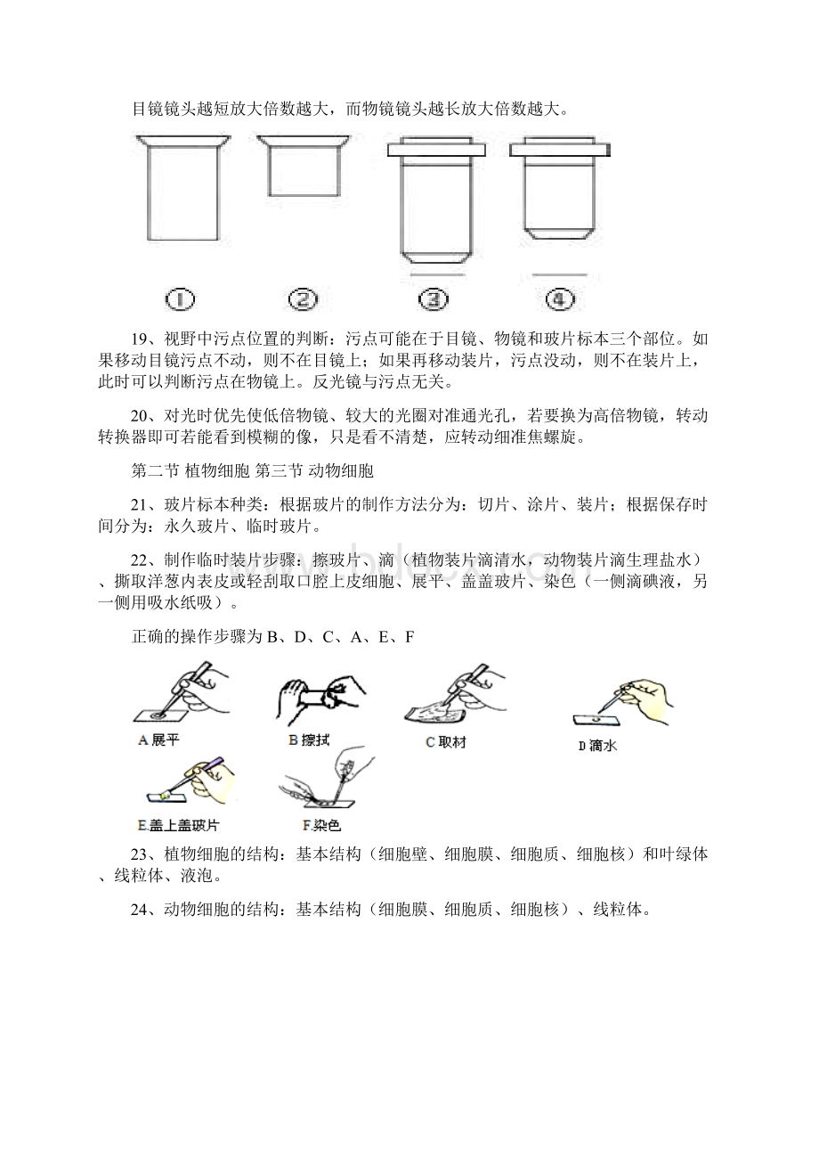 七年级上生物总复习知识要点资料.docx_第3页