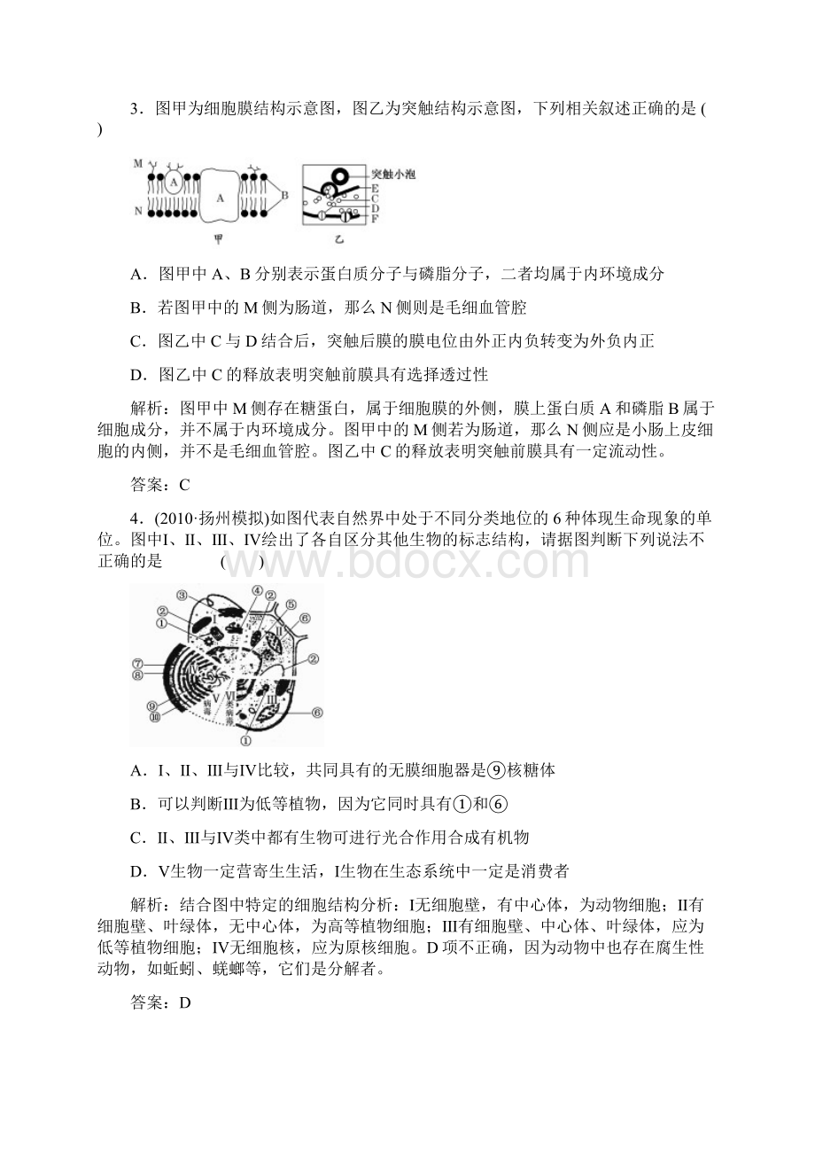 高中生物知识优化4Word文档格式.docx_第2页