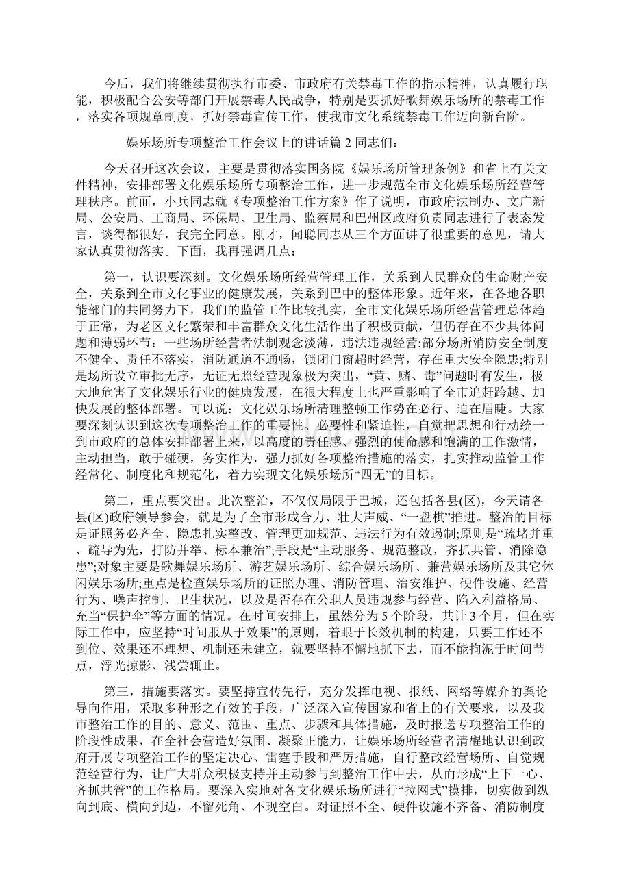 娱乐场所专项整治工作会议上的讲话.docx_第2页