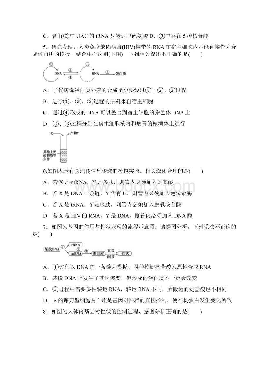 基因的表达测试题Word格式文档下载.docx_第2页