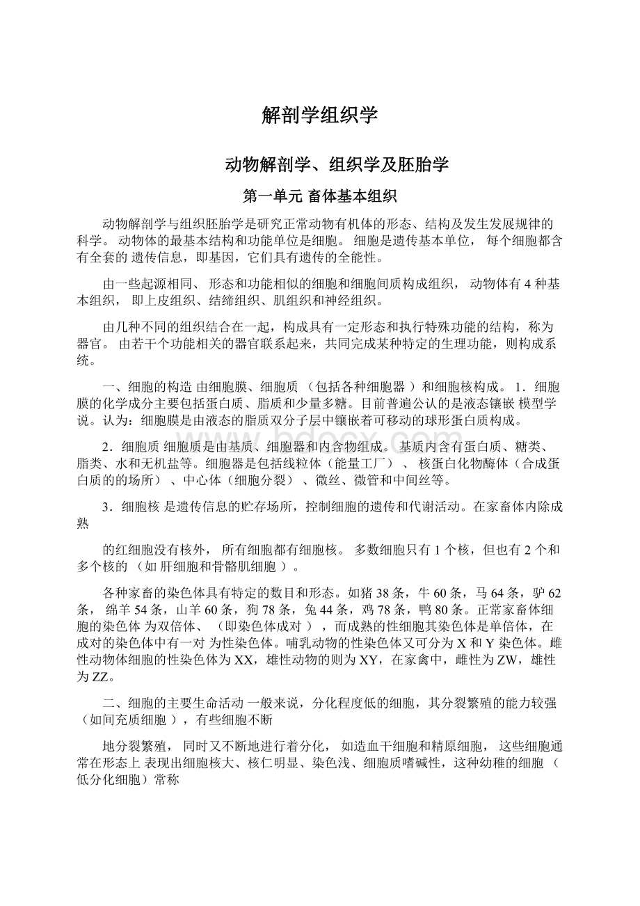 解剖学组织学文档格式.docx